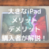 大きなiPadのメリットとデメリットを購入者が解説します